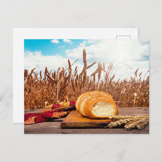 Bread in wheat field postcard (Front/Back)