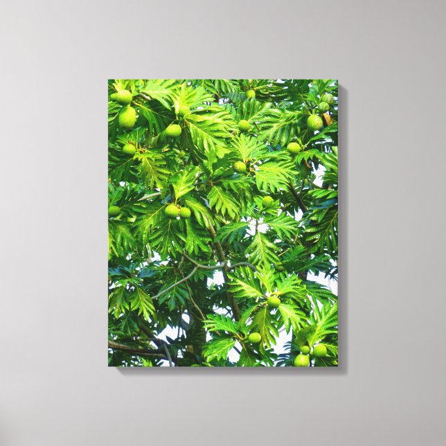 Breadfruit Tree Canvas Print (Front)
