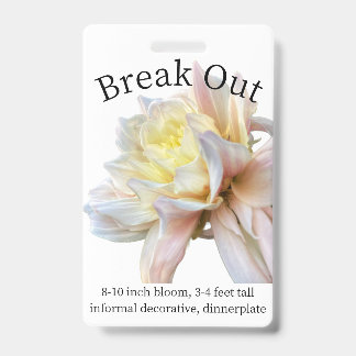 Break Out Dahlia ID Badge