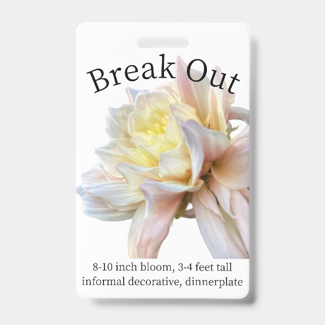 Break Out Dahlia ID Badge (Front)
