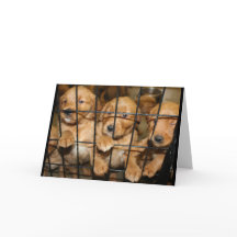 Break Out Of There! Graduation Humor