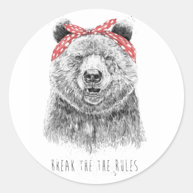 Break the rules classic round sticker (Front)