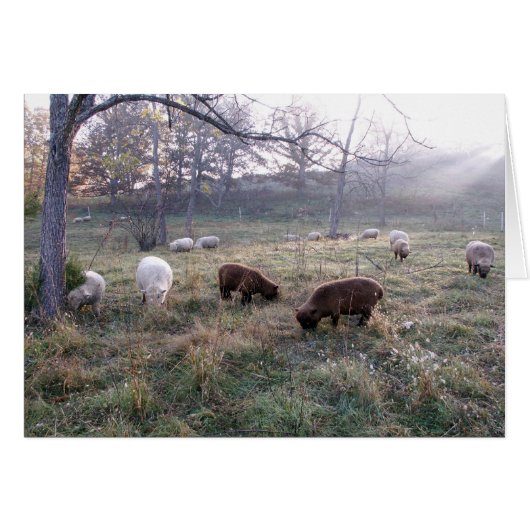 Breakfast at Dawn Cards (Front Horizontal)