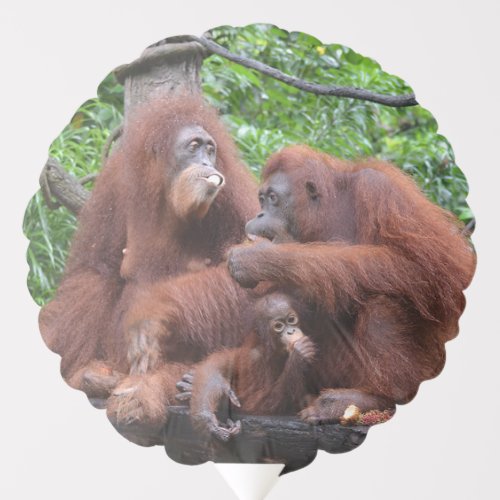 Breakfast with the Orangutans Fun Birthday Balloon