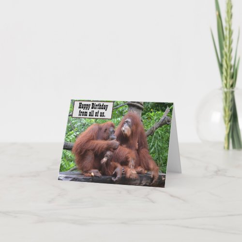 Breakfast with the Orangutans Happy Birthday  Card