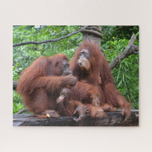 Breakfast with the Orangutans Singapore zoo Jigsaw Puzzle