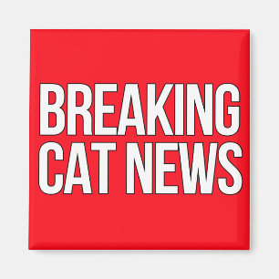 Breaking Cat News magnet
