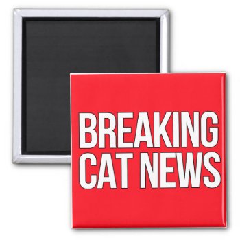 Breaking Cat News Magnet by BREAKING_CAT_NEWS at Zazzle