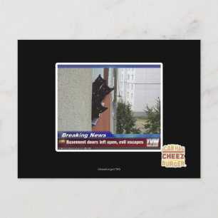 Breaking News 2 Postcard