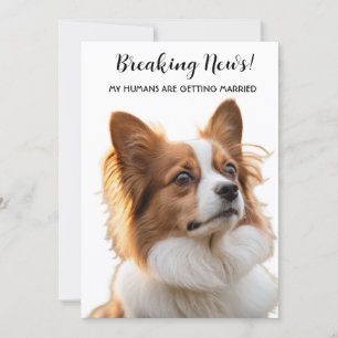Breaking News My Humans Are Getting Married Invitation
