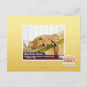 Breaking News Postcard