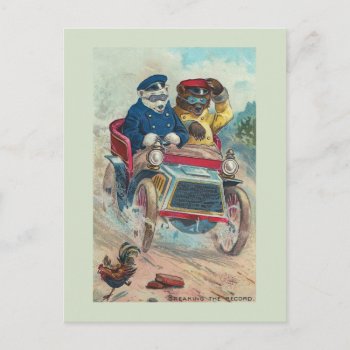 "breaking The Record" Vintage Bear Postcard by PrimeVintage at Zazzle