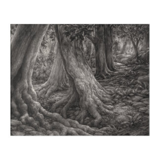 Breaking Through the Forest Acrylic Print