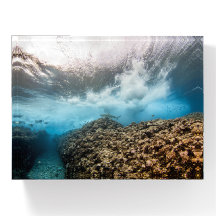 Breaking wave 009 Blacktip shark 砕け散る波とサメ ペーパーウェイト