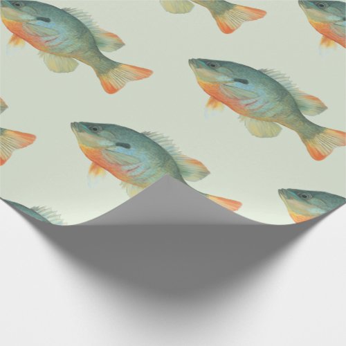 Bream Bluegill Sunfish Perch Fish Gift Wrapping Paper