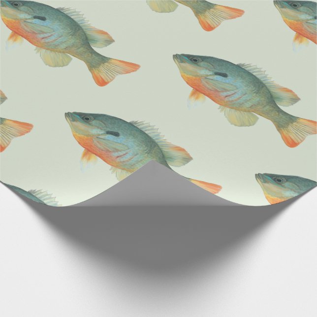 Bream Bluegill Sunfish Perch Fish Gift Wrapping Paper (Corner)