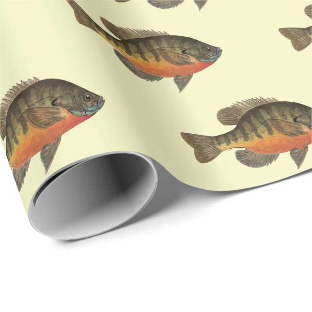 Bream, Bluegill Wrapping Paper (Roll Corner)