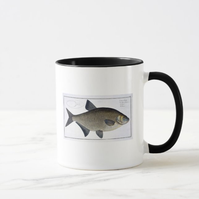 Bream (Cyprinus Brama) plate XIII from 'Ichthyolog Mug (Right)
