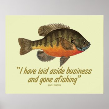 Bream Fishing Poster by TroutWhiskers at Zazzle