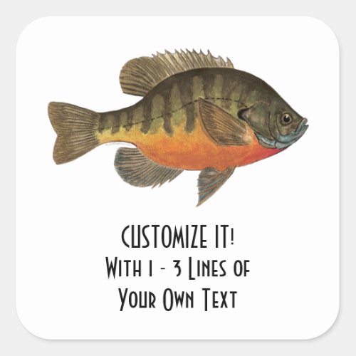 Bream Fishing Square Sticker