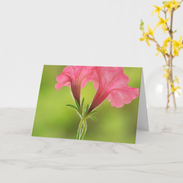 Breast Cancer Support Pink Petunia Card (Yellow Flower)