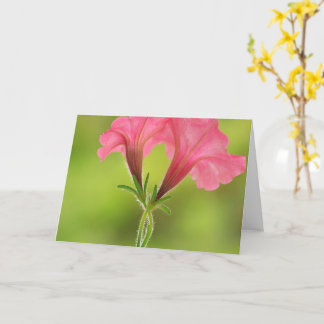 Breast Cancer Support Pink Petunia Card