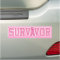 Breast Cancer Survivor