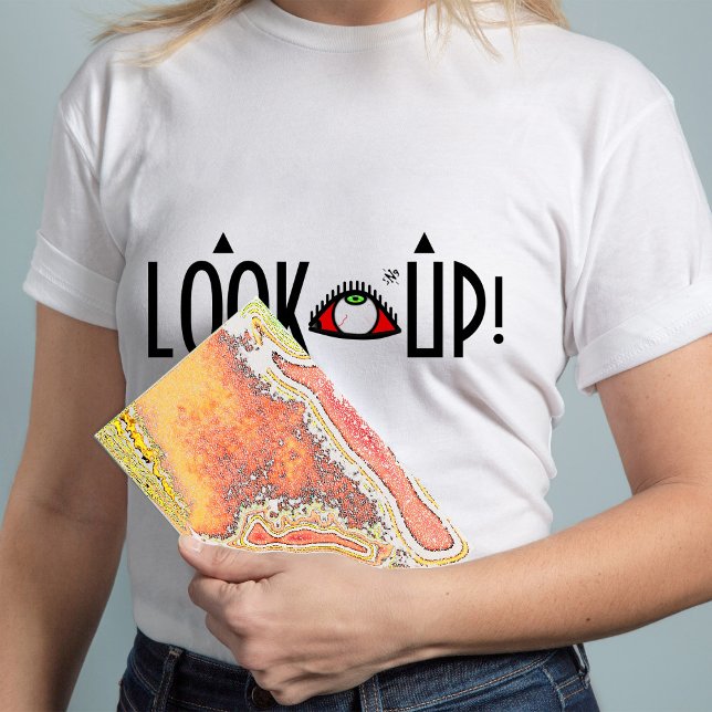 Breasts joke: "Look up!" T-Shirt (Creator Uploaded)
