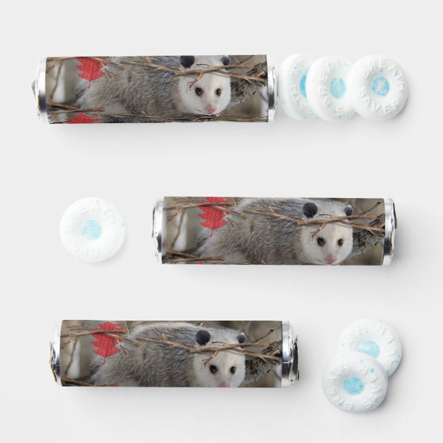 Breath Savers Mint Favor Opossum Wildlife Nature (Assorted)