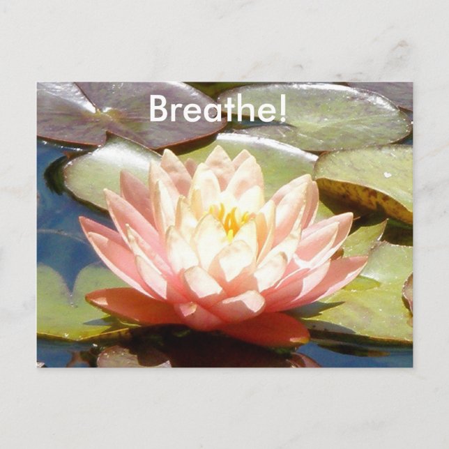 Breathe! Lotus Postcard (Front)
