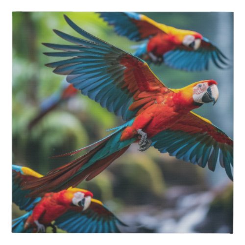 Breathtaking Amazon Macaw Flight Photograph Faux Canvas Print