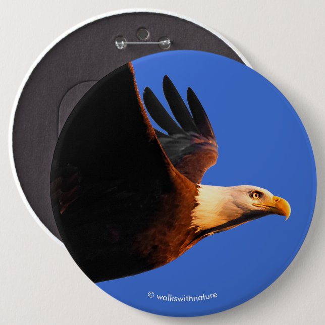 Breathtaking Bald Eagle in Winter Sunset Flight Button (Front & Back)