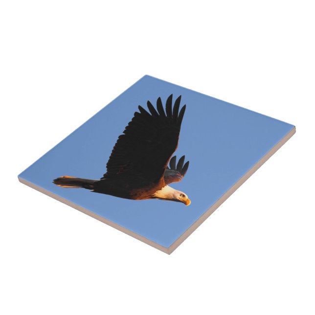 Breathtaking Bald Eagle in Winter Sunset Flight Ceramic Tile (Side)