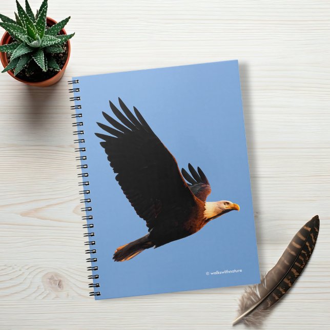 Breathtaking Bald Eagle in Winter Sunset Flight Notebook (Breathtaking Bald Eagle in Winter Sunset Flight Journal Cover Photo)