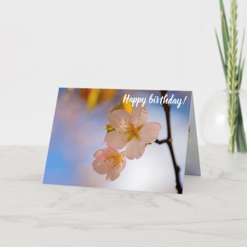 Breathtaking Beauty Of Sakura Flowers In Spring Card