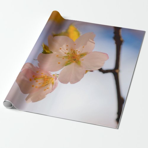 Breathtaking Beauty Of Sakura Flowers Wrapping Paper
