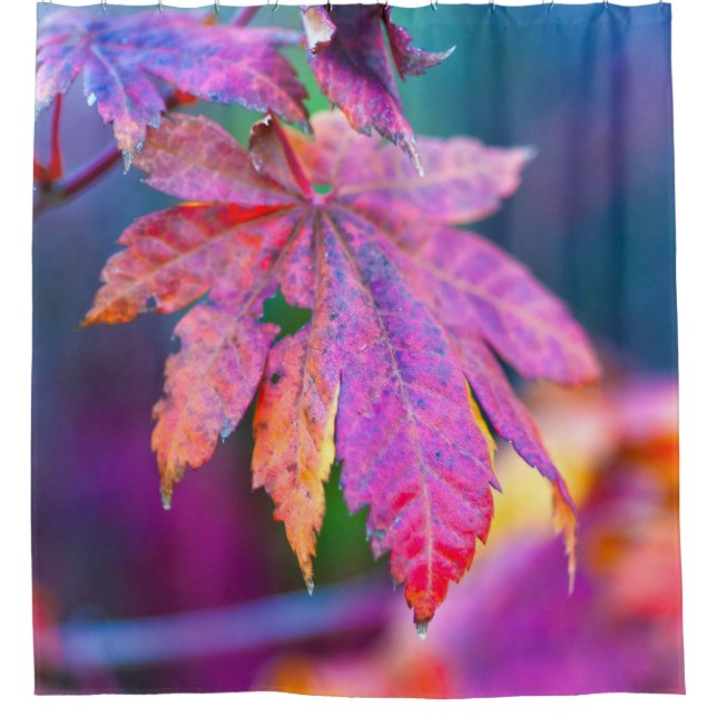 Breathtaking Japanese Maple leaves Shower Curtain (Front)
