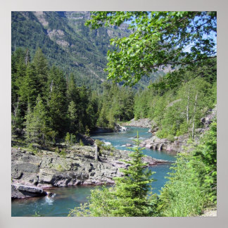 Breathtaking National Forest Poster