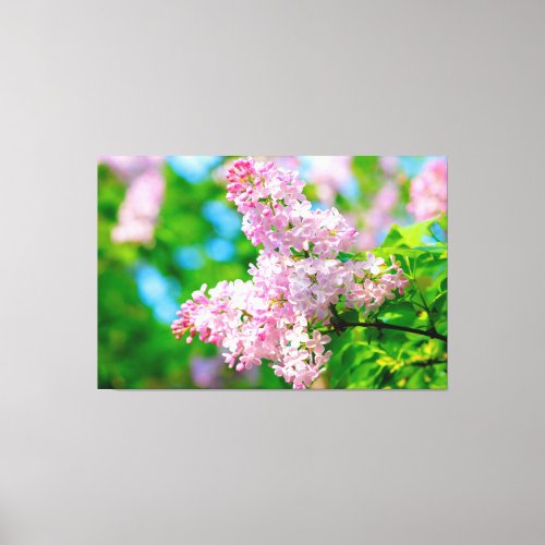 Breathtaking Pink Lilacs Canvas Print