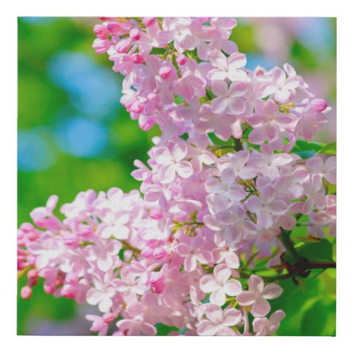 Breathtaking Pink Lilacs Faux Canvas Print