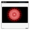 Breathtaking Red Mandala Skin