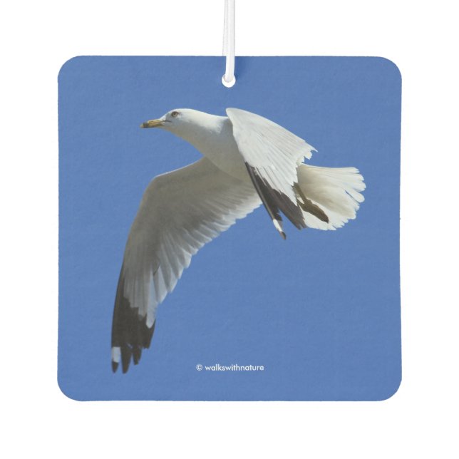 Breathtaking Ring-Billed Gull in Flight Air Freshener (Front)