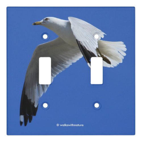 Breathtaking Ring_Billed Gull in Flight Light Switch Cover