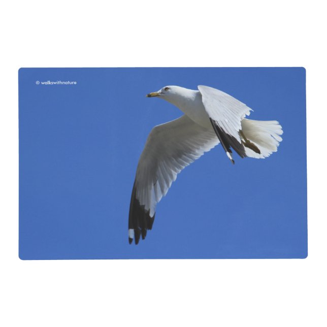 Breathtaking Ring-Billed Gull in Flight Placemat (Front)