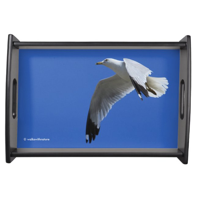 Breathtaking Ring-Billed Gull in Flight Serving Tray (Front)