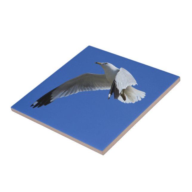 Breathtaking Ring-Billed Gull Shorebird in Flight Ceramic Tile (Side)