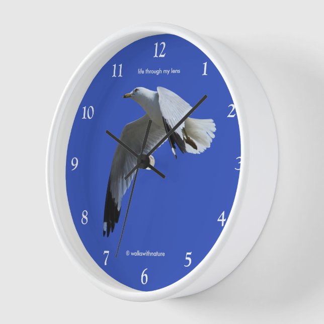 Breathtaking Ring-Billed Gull Shorebird in Flight Wall Clock (Angle)