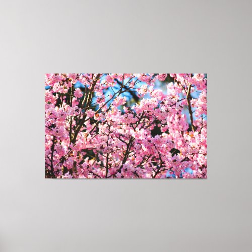 Breathtaking Sakura Tree In Pink Bloom Of Spring Canvas Print