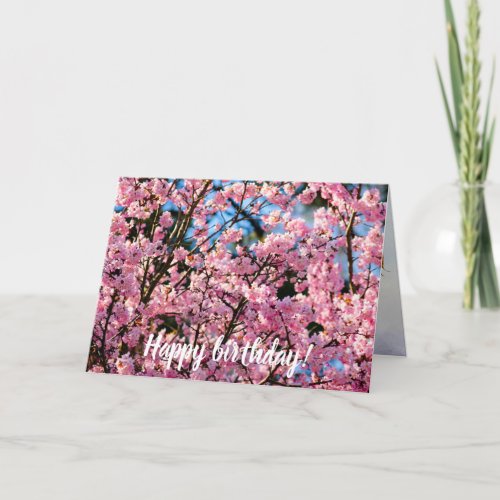 Breathtaking Sakura Tree In Pink Bloom Of Spring Card