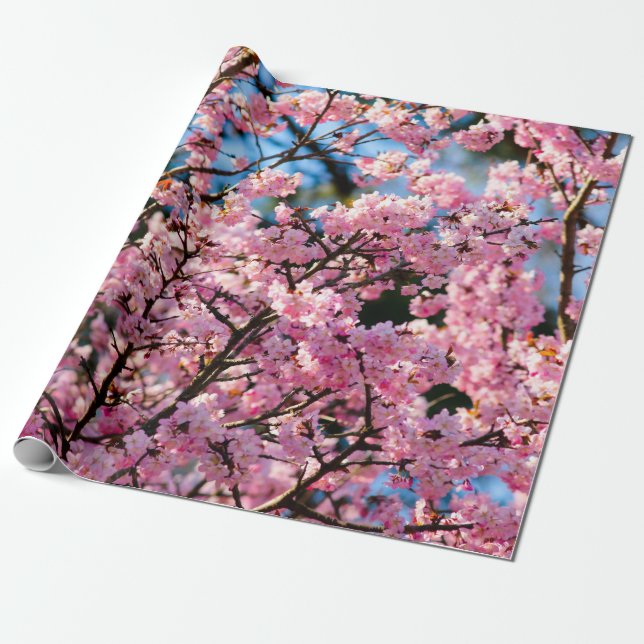 Breathtaking Sakura Tree In Pink Bloom Wrapping Paper (Unrolled)